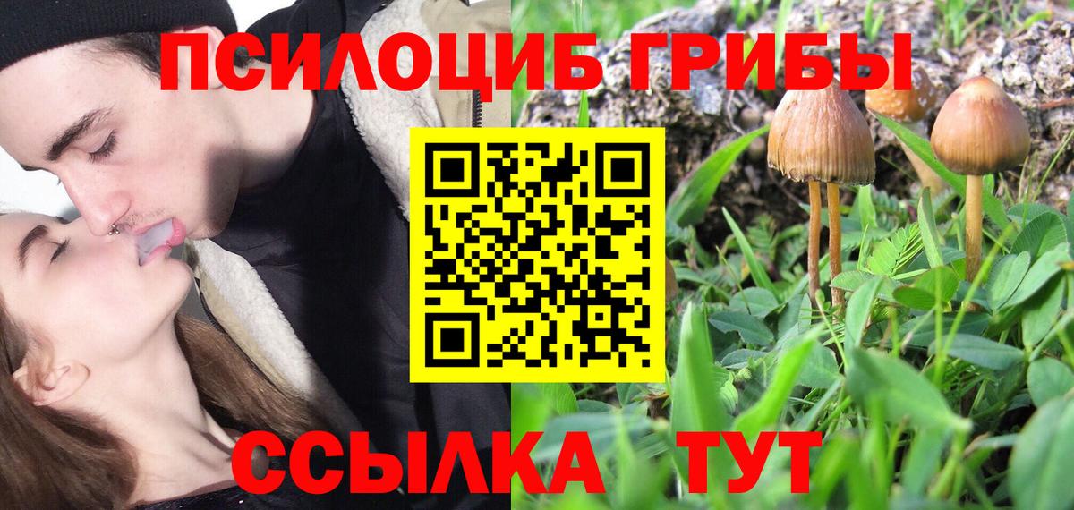 Касимов  дарнет шоп  Вход с VPN  Галлюциногенные грибы Cubensis  Галлюциногенные грибы прущие грибы 